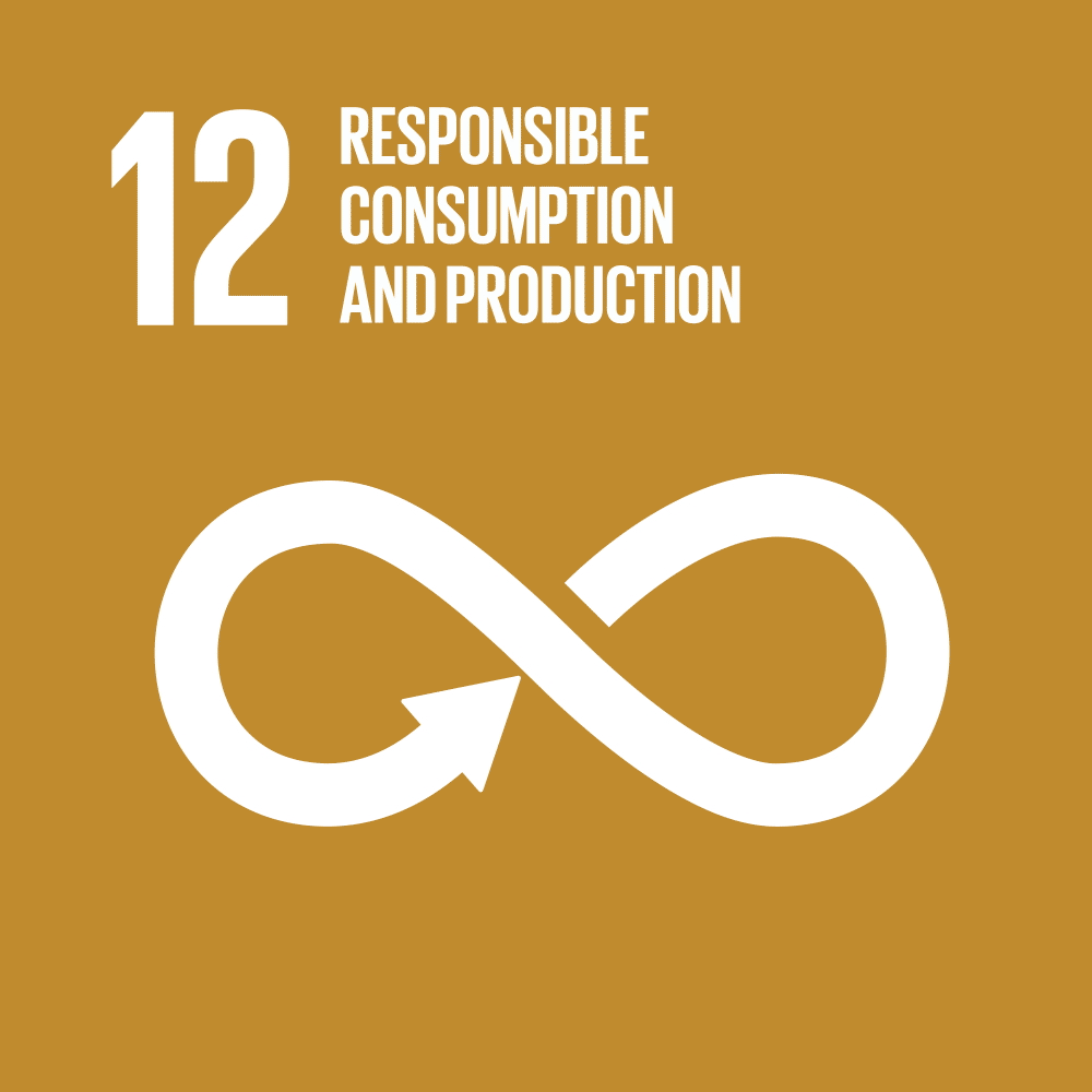 SDG 12 - Responsible Production & Consumption