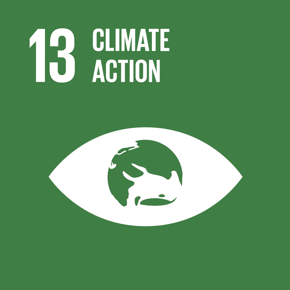 SDG 13 - Climate Action