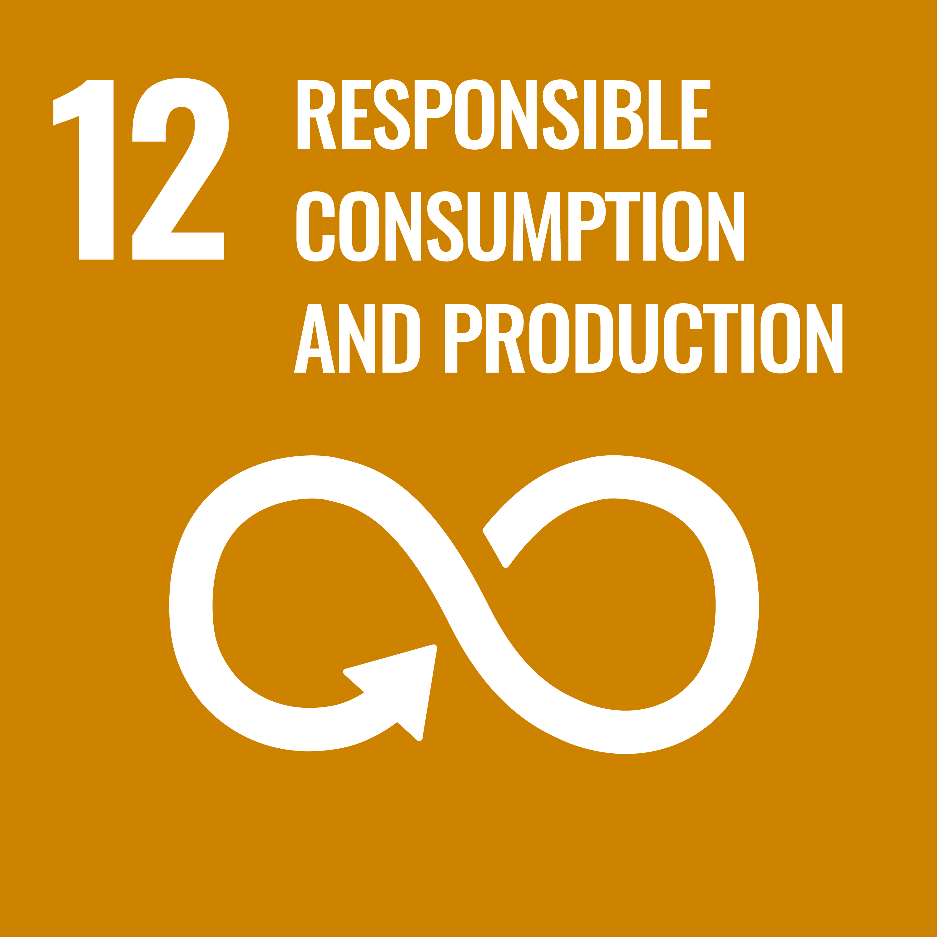 SDG 12 - Responsible Production & Consumption