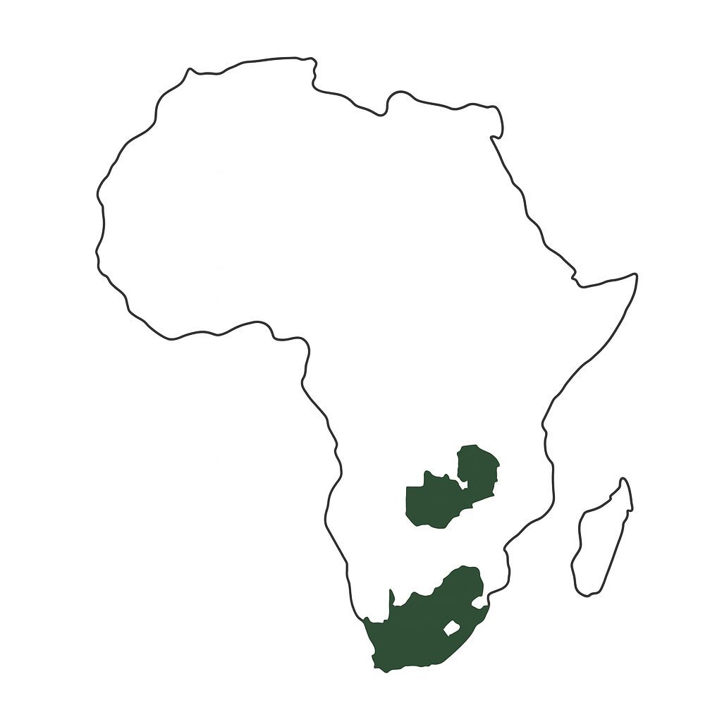 Africa Map